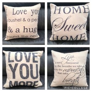 Throw Pillow Cases